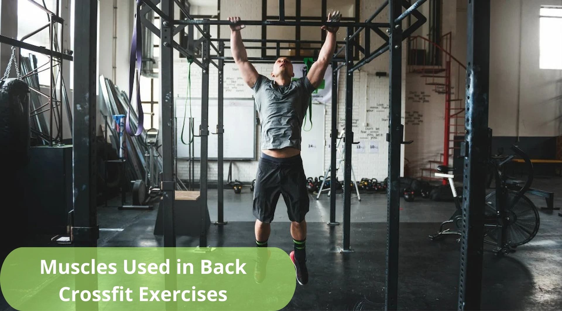 How Back Workouts Can Support CrossFit Performance